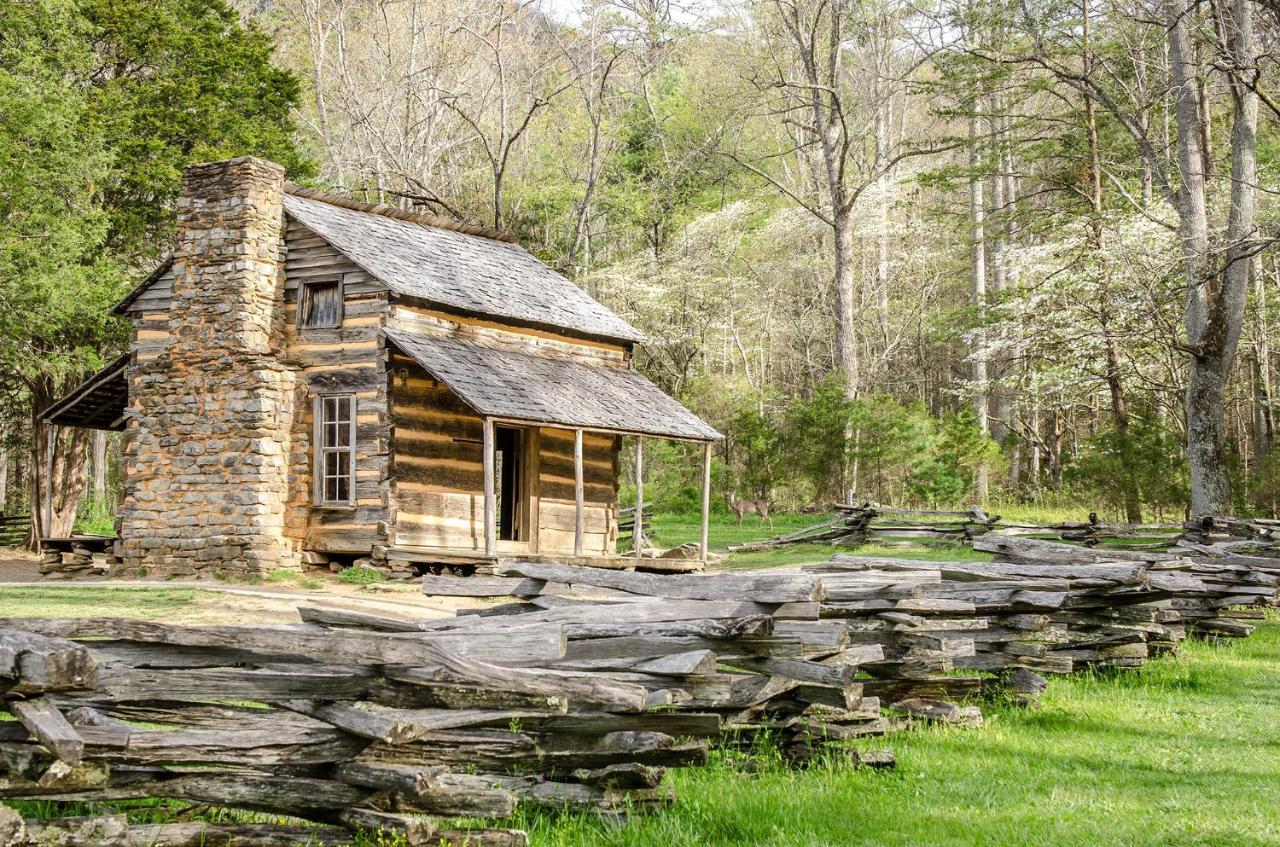 Lazy Cub Lodge Pigeon Forge Exterior foto