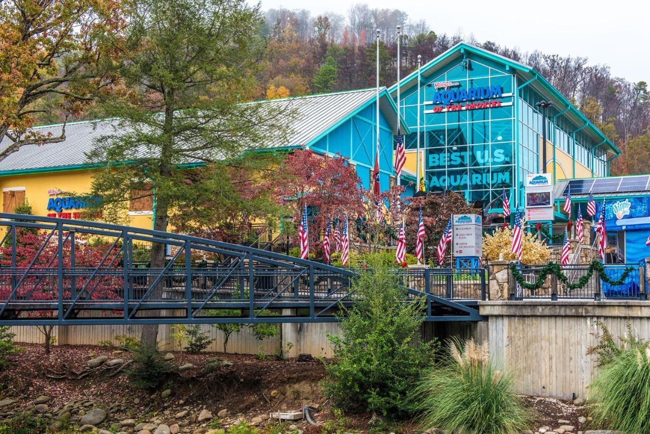 Lazy Cub Lodge Pigeon Forge Exterior foto